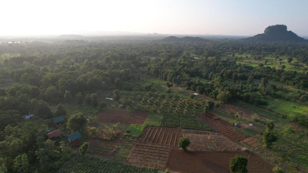 Chena Huts Eco Resort Sigiriya Exterior foto