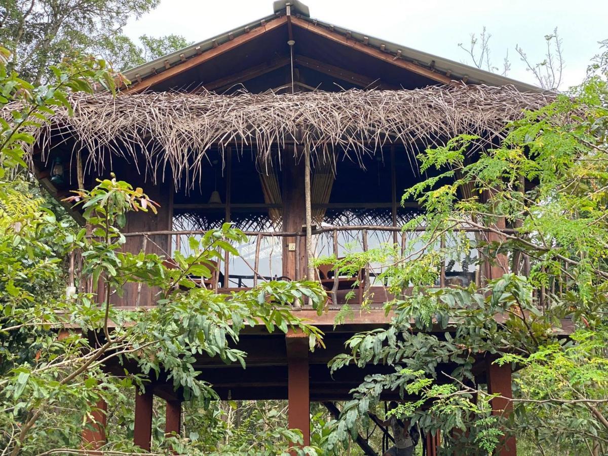 Chena Huts Eco Resort Sigiriya Exterior foto